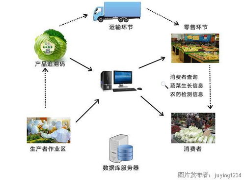農(nóng)業(yè)物聯(lián)網(wǎng)的功能及應(yīng)用 開啟智能農(nóng)業(yè)管理新時代