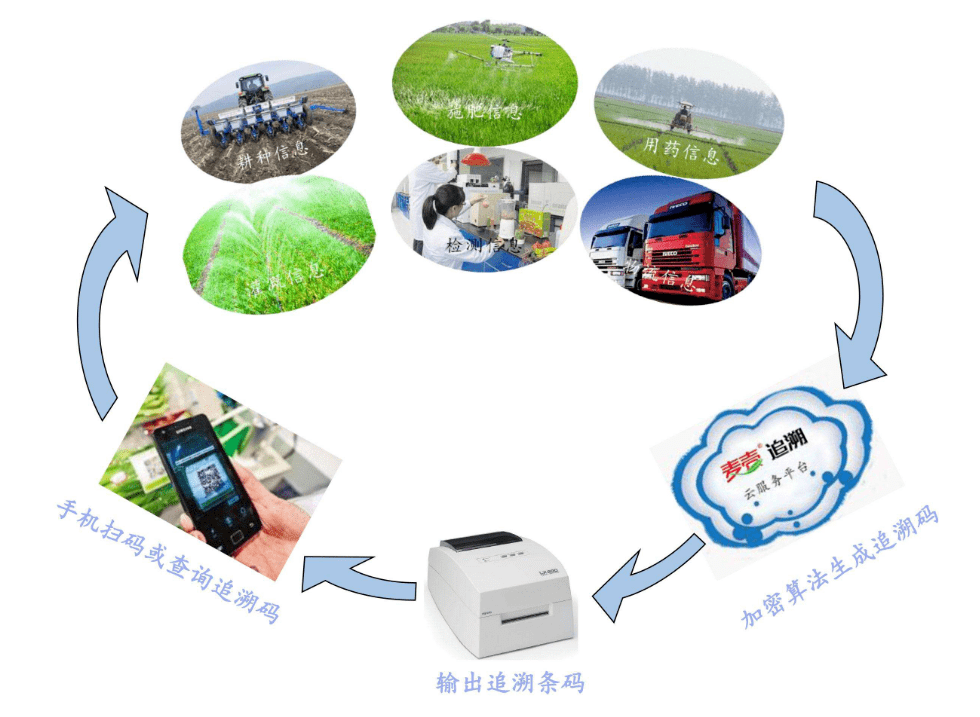 人工智能有潛力改善農業的十種路徑_數據_農作物_監控